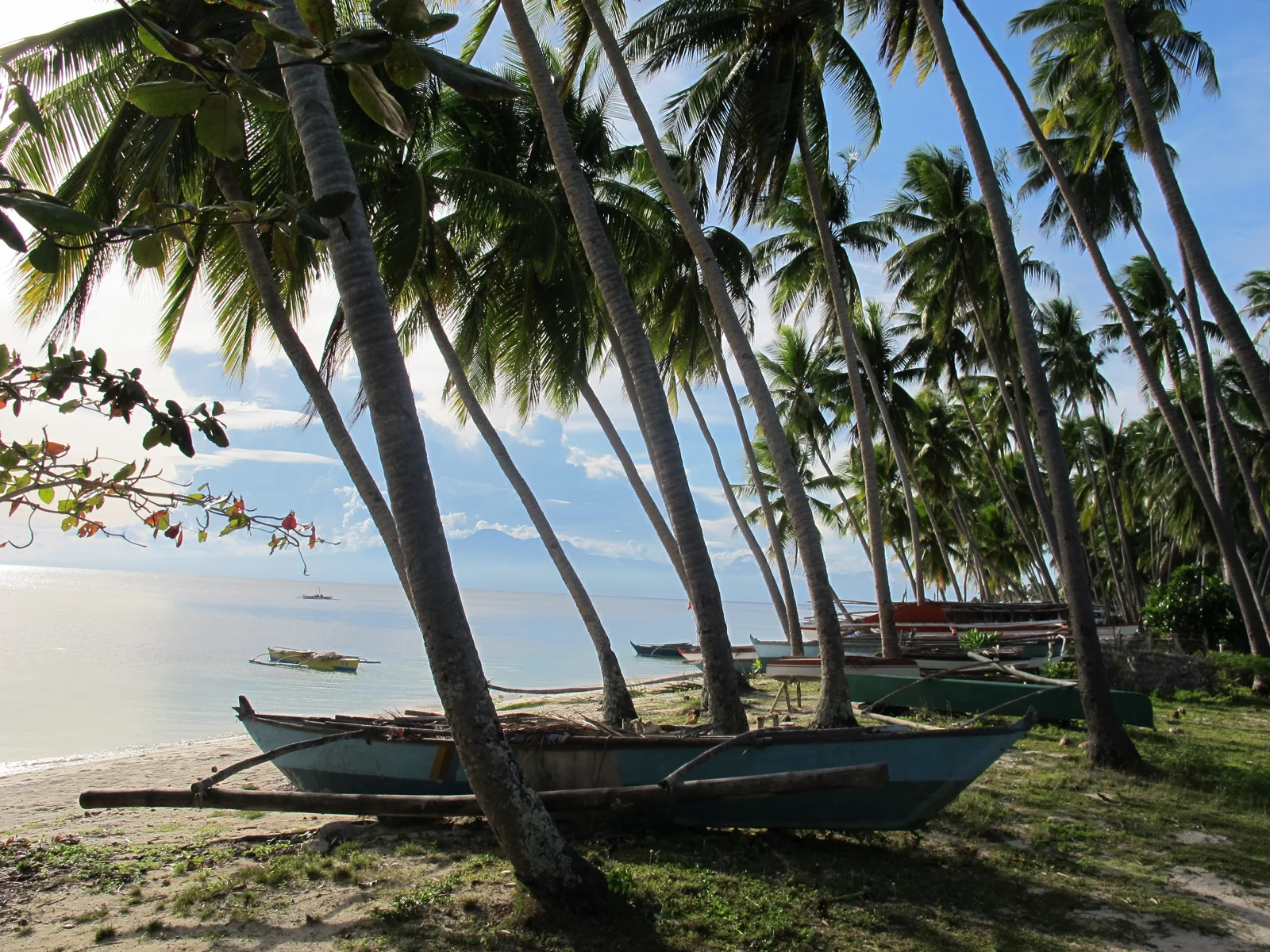 Palm trees and boats at Paliton Beach, Siquijor
